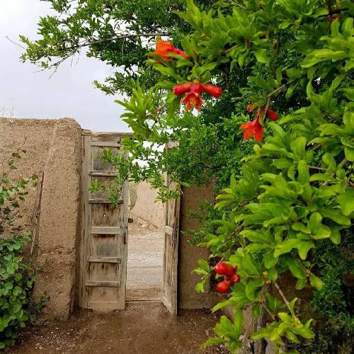 کی تو اون لحظه قادر به درک حالته هیشکی بغض لحظه ی ترک خاکته